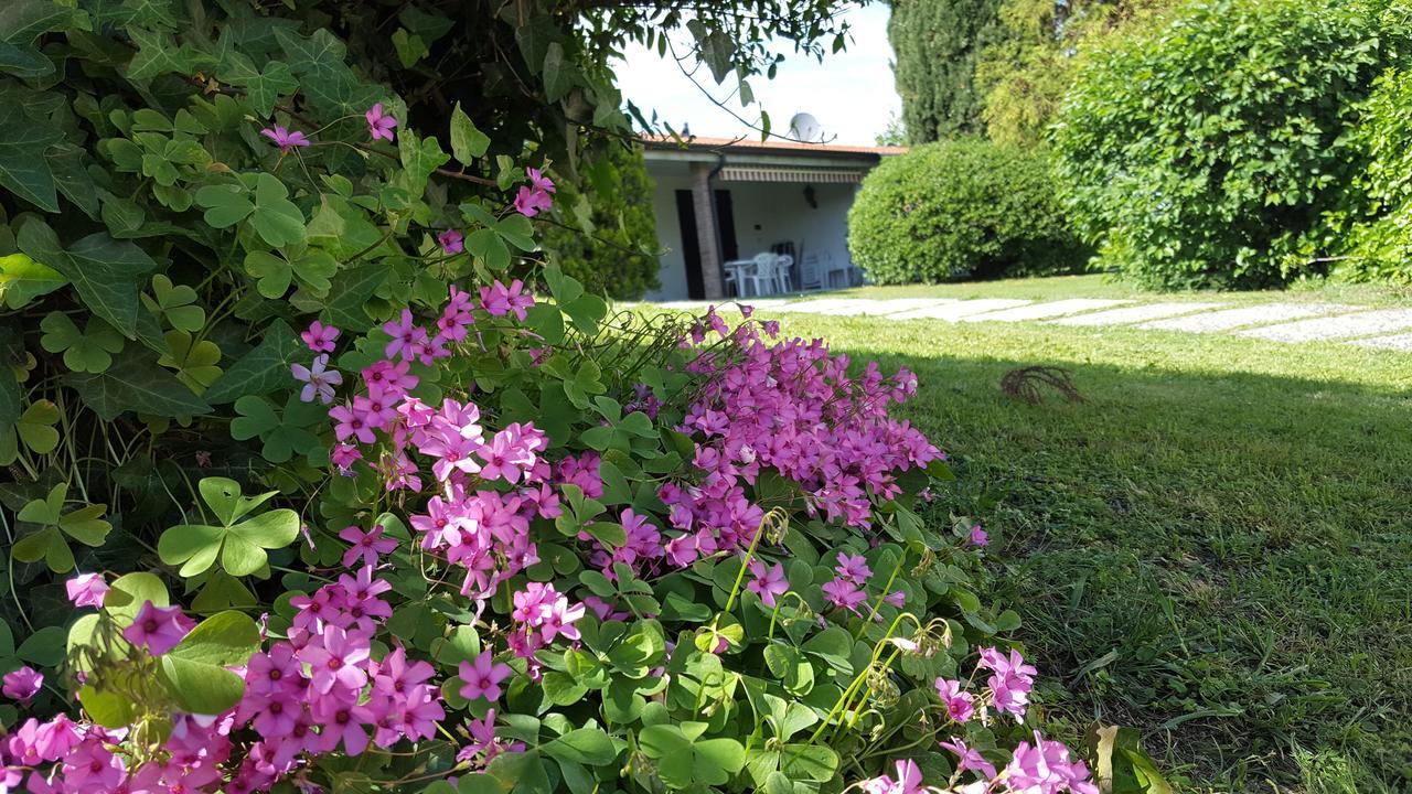 Italsol Riai 3* Moniga del Garda